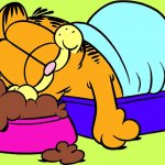 garfield eat sleep