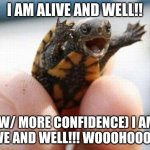 Happy turtle | I AM ALIVE AND WELL!! (W/ MORE CONFIDENCE) I AM ALIVE AND WELL!!! WOOOHOOO!!!!! | image tagged in happy baby turtle,alive,well,yay | made w/ Imgflip meme maker