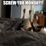 Monday Little Man | SCREW YOU MONDAY!! | image tagged in lounging little man | made w/ Imgflip meme maker