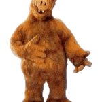 ALF Transparent