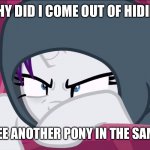 Rarity Unicorn displeased | WHY DID I COME OUT OF HIDING; ONLY TO SEE ANOTHER PONY IN THE SAME PLACE? | image tagged in rarity unicorn displeased | made w/ Imgflip meme maker