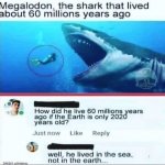 Megalodon meme