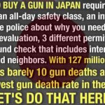 Japan gun control