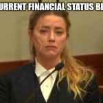Amber Turd | MY CURRENT FINANCIAL STATUS BE LIKE: | image tagged in amber turd,broke | made w/ Imgflip meme maker
