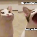 Mouth smellier than sewer | Me, usually; Me, especially when I don't like it; Mouth smellier than the sewer; leongmy.com | image tagged in pop cat,potty mouth,loud mouth,mouth,big mouth,irritated | made w/ Imgflip meme maker