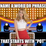 Name a word or phrase that starts with "pot" | NAME A WORD OR PHRASE; THAT STARTS WITH "POT" | image tagged in game show,funny,memes,family feud,survey says,sarah pribis | made w/ Imgflip meme maker