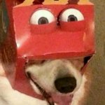 Happy meal dog