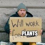 Will work for food | PLANTS | image tagged in will work for food,plants | made w/ Imgflip meme maker