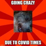 Covid times | GOING CRAZY; DUE TO COVID TIMES | image tagged in red blank background | made w/ Imgflip meme maker