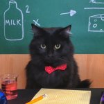 Chemistry Cat v2 meme