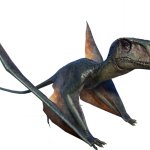 Dimorphodon (JW Design)