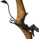 Dimorphodon 2 (JW Design)