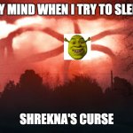 Stranger Things 2 | MY MIND WHEN I TRY TO SLEEP; SHREKNA'S CURSE | image tagged in stranger things 2 | made w/ Imgflip meme maker