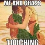 no touch grass; touched grass meme - Piñata Farms - The best meme generator  and meme maker for video & image memes