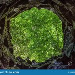 Hole in the woods.
