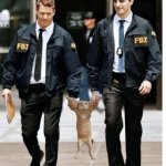 I will sue you Min Yoongi