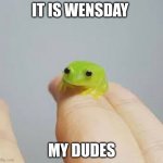 Frog | IT IS WENSDAY; MY DUDES | image tagged in frog | made w/ Imgflip meme maker