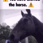 You have alerted the horse. (Static) meme