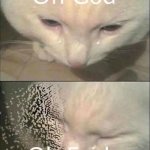 oh god oh fuck cat
