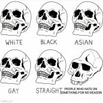 I hate that kind of people | PEOPLE WHO HATE ON SOMETHING FOR NO REASON | image tagged in skull comparison | made w/ Imgflip meme maker