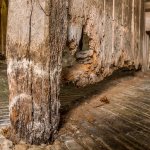 How to Identify and Treat Dry Rot & Wet Rot