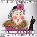 THE  HUMAN  BODY  IS  AMAZING... YOU BREATHE IN OXYGEN AND IT CONVERTS IT INTO SARCASM | image tagged in funny | made w/ Imgflip meme maker