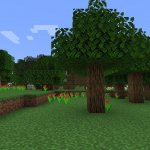 Minecraft forest template