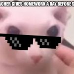 confused bingus | WHEN THE TEACHER GIVES HOMEWORK A DAY BEFORE SCHOOL IS OUT | image tagged in confused bingus | made w/ Imgflip meme maker