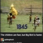 BIG BIRD