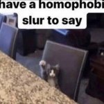 i have a homophobic slur to say meme