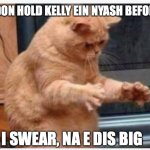 SIZE | I DON HOLD KELLY EIN NYASH BEFORE; I SWEAR, NA E DIS BIG | image tagged in cat gesture | made w/ Imgflip meme maker