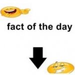 Fact of the day