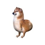 Doge bigbutt