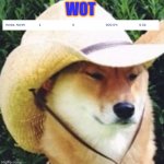 what the heck | WOT | image tagged in wot in tarnation | made w/ Imgflip meme maker