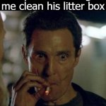 rust cohle smoking | my cat watching me clean his litter box | image tagged in rust cohle smoking | made w/ Imgflip meme maker