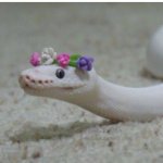 Snake Flower Venomous Cute template