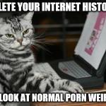 Cat computer | DELETE YOUR INTERNET HISTORY OR LOOK AT NORMAL PORN WEIRDO | image tagged in cat,computer,funny | made w/ Imgflip meme maker