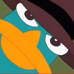 Perry looks at you