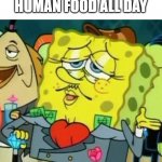 Rich Spongebob | MY DOG AFTER EATING HUMAN FOOD ALL DAY | image tagged in rich spongebob,dog memes,spongebob | made w/ Imgflip meme maker