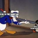 ducky | ME WANTING TO GO TO THE SAND LAB; MY FRIEND SAYING WE SHOULDN'T GO AND FOCUS ON HIS PET WEEVIL | image tagged in ducky | made w/ Imgflip meme maker
