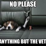 Time for the vet! | NO PLEASE ANYTHING BUT THE VET | image tagged in funny,dog,back seat | made w/ Imgflip meme maker