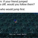 bruh | Mom: If your friend jumped off a cliff, would you follow them? Me who would jump first: | image tagged in sonic take me sweet death | made w/ Imgflip meme maker