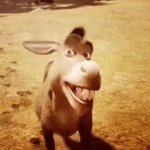 Donkey GIF Template