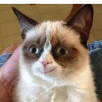 Very true | Time traveler: Kicks a rock
The timeline: I HAD FUN ONCE, IT WAS GREAT | image tagged in memes,grumpy cat happy,grumpy cat,so true memes,barney will eat all of your delectable biscuits | made w/ Imgflip meme maker
