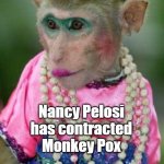 Monkey Pox | Whitehouse Reports; Nancy Pelosi has contracted Monkey Pox | image tagged in monkey make up,pelosi | made w/ Imgflip meme maker