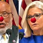 Bennie Thompson and Liz Cheney meme