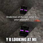 Enderman of the soil | Y U LOOKING AT ME | image tagged in enderman of the soil | made w/ Imgflip meme maker