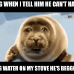 sad seal | MY DOG WHEN I TELL HIM HE CAN'T HAVE THE; BOILING WATER ON MY STOVE HE'S BEGGING FOR | image tagged in sad seal,kermit the frog | made w/ Imgflip meme maker