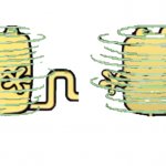 155