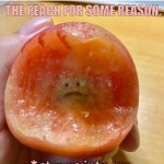 STOP STARING AT ME >:( | NOBODY:; THE PEACH FOR SOME REASON:; ME AFTER BITING A PEACH; *stares into my soul with this sad face* | image tagged in sad peach,stares into soul casualy,stop reading the tags,lol | made w/ Imgflip meme maker